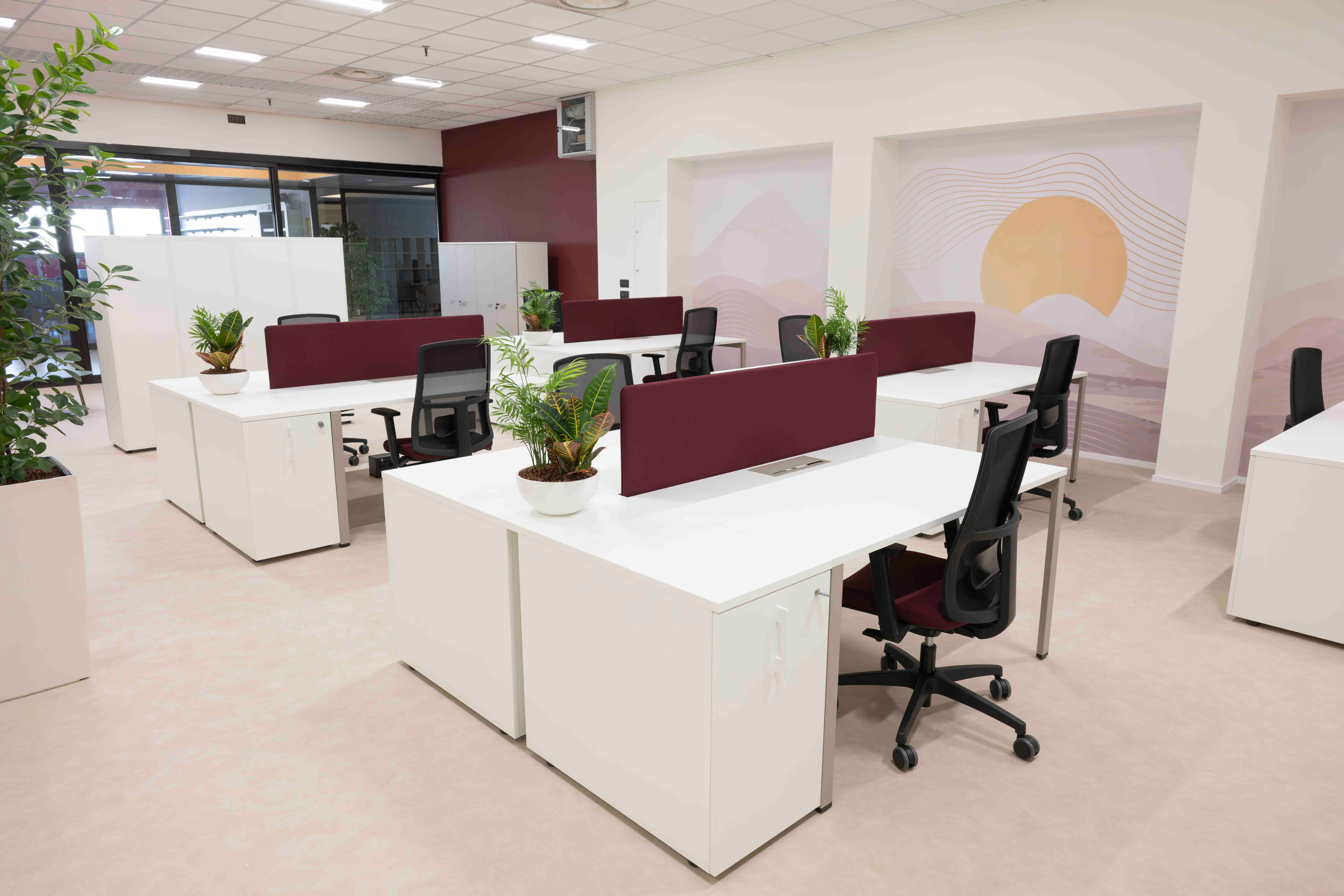 Geko Coworking