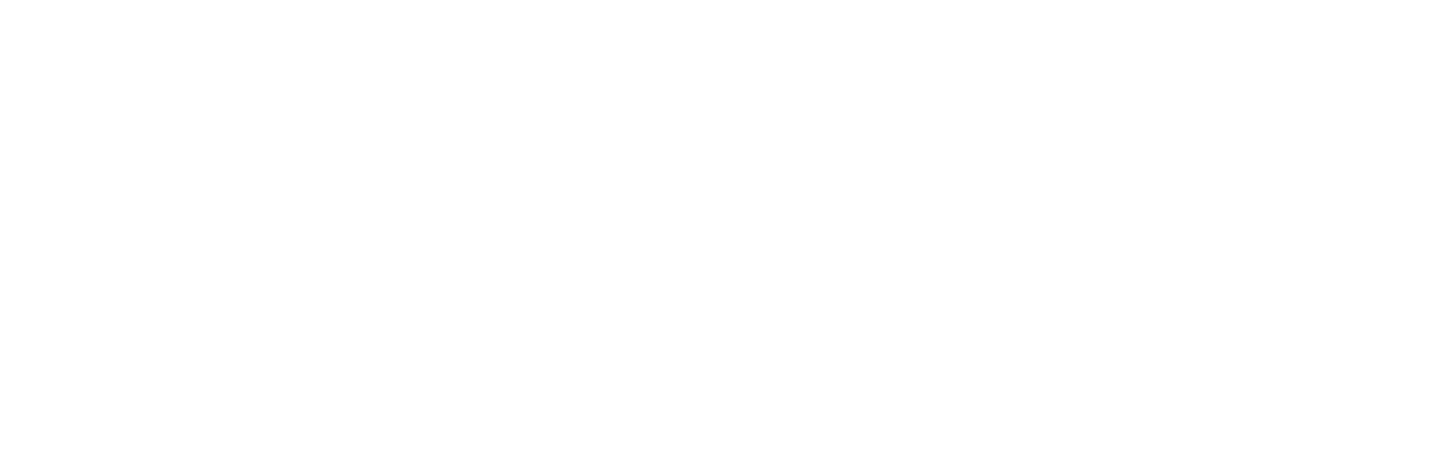 Logo TEC4I FVG Udine